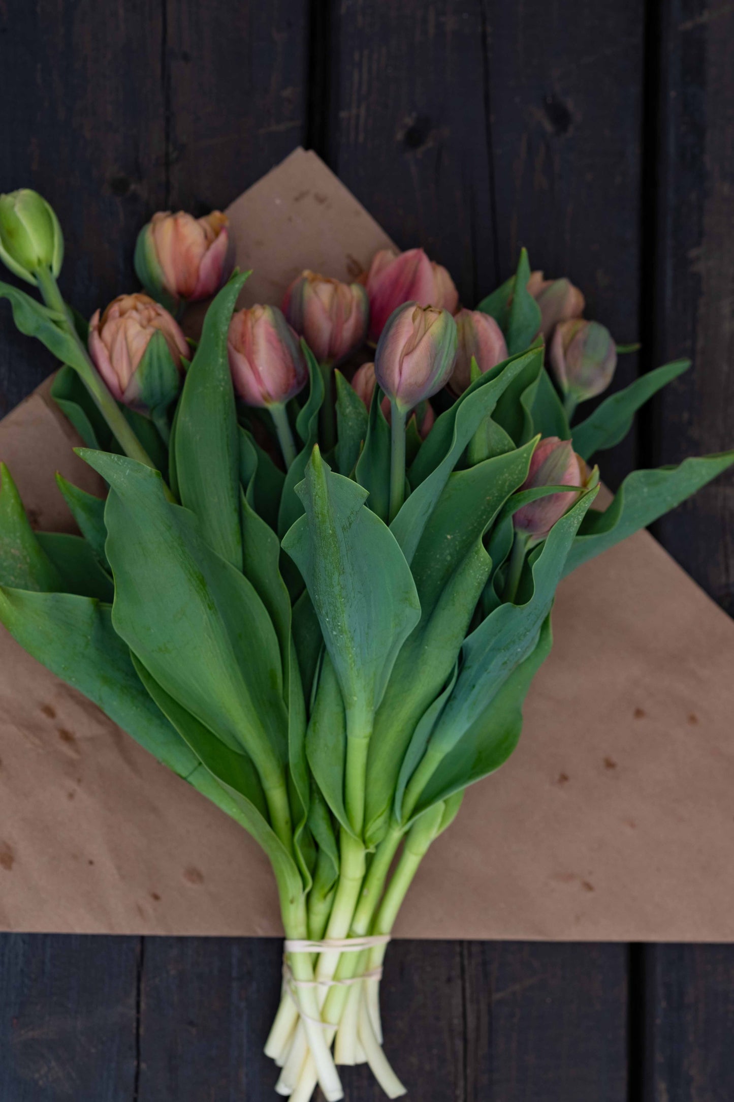 Bouquet de tulipes
