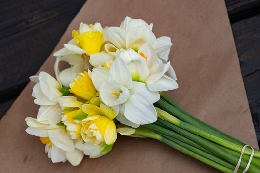 Bouquet de narcisses